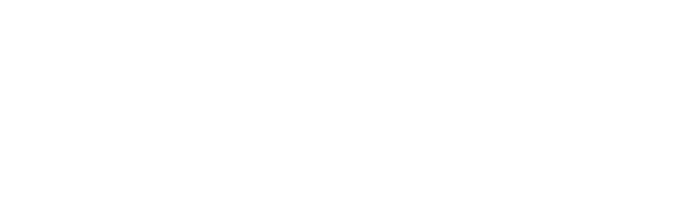 Curriculum